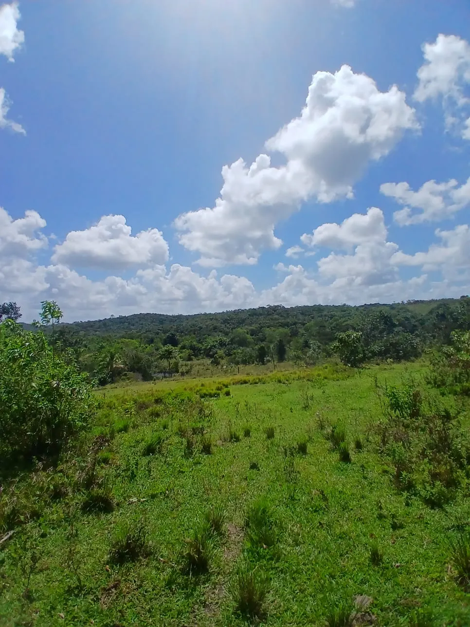 Fazenda à venda e para Arrendar de 87 ha em Simões Filho, BA, Brasil