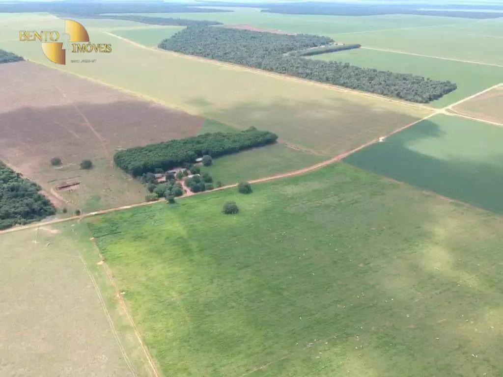 Fazenda à venda de 654 ha em Gaúcha do Norte, MT, Brasil