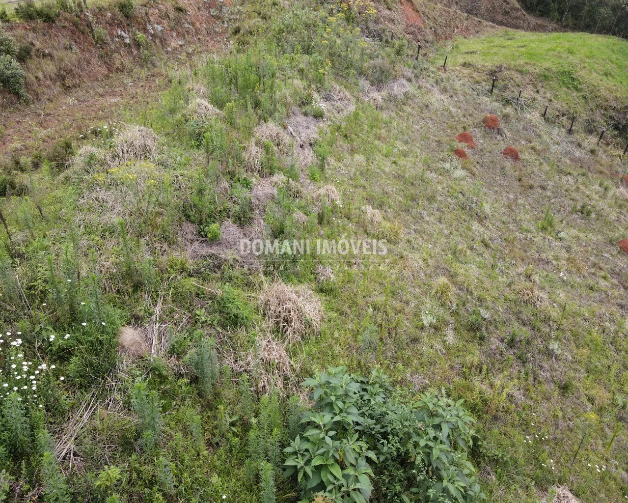 Plot for sale of 1,600 m² in Campos do Jordão, SP, Brazil