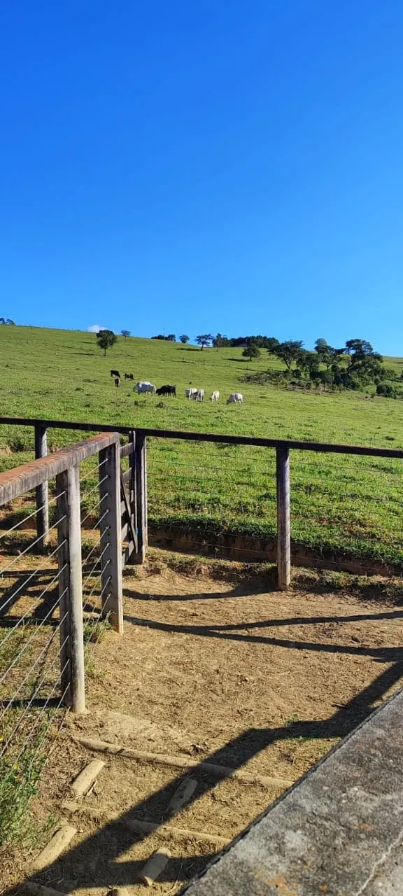 Fazenda à venda de 91 ha em Salto de Pirapora, SP, Brasil