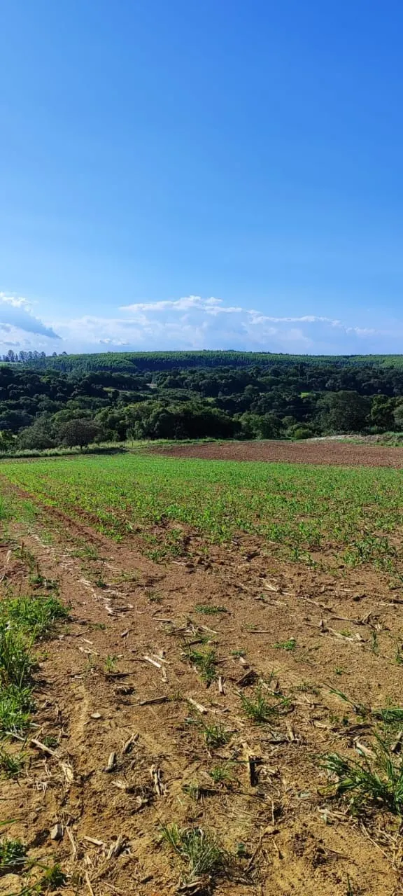 Fazenda à venda de 91 ha em Salto de Pirapora, SP, Brasil