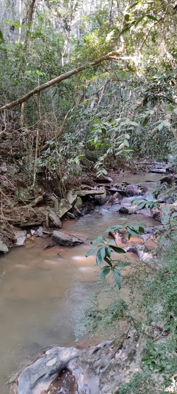 Fazenda à venda de 91 ha em Salto de Pirapora, SP, Brasil
