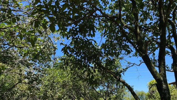 Terreno à venda de 4.000 m² em Santo Antônio da Patrulha, RS, Brasil