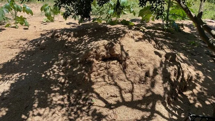 Terreno à venda de 4.000 m² em Santo Antônio da Patrulha, RS, Brasil