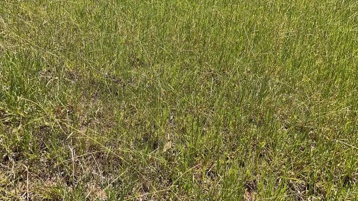 Terreno à venda de 4.000 m² em Santo Antônio da Patrulha, RS, Brasil