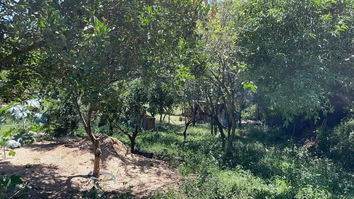 Terreno à venda de 4.000 m² em Santo Antônio da Patrulha, RS, Brasil