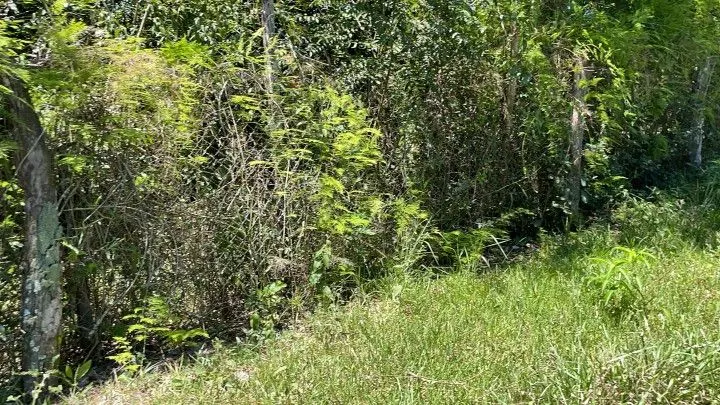 Terreno à venda de 4.000 m² em Santo Antônio da Patrulha, RS, Brasil