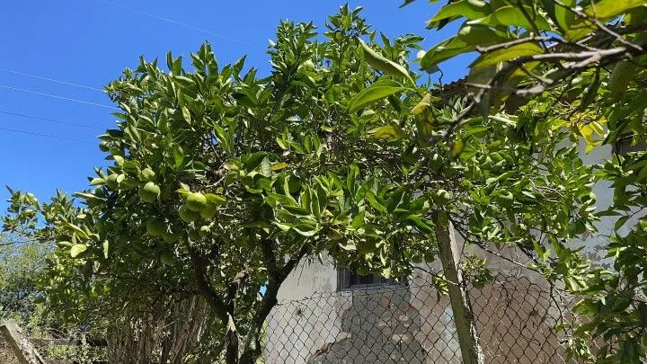 Terreno à venda de 4.000 m² em Santo Antônio da Patrulha, RS, Brasil