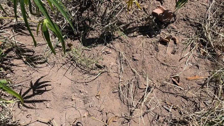 Terreno à venda de 4.000 m² em Santo Antônio da Patrulha, RS, Brasil
