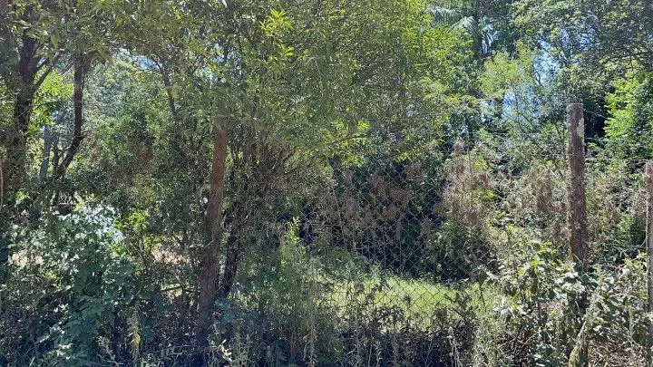 Terreno à venda de 4.000 m² em Santo Antônio da Patrulha, RS, Brasil