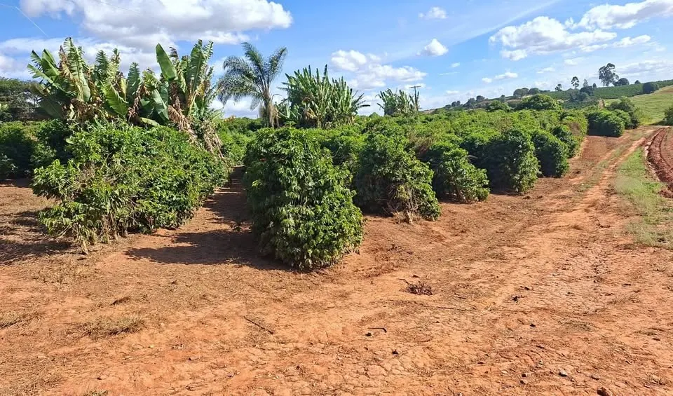 Fazenda à venda de 66 ha em Campanha, MG, Brasil