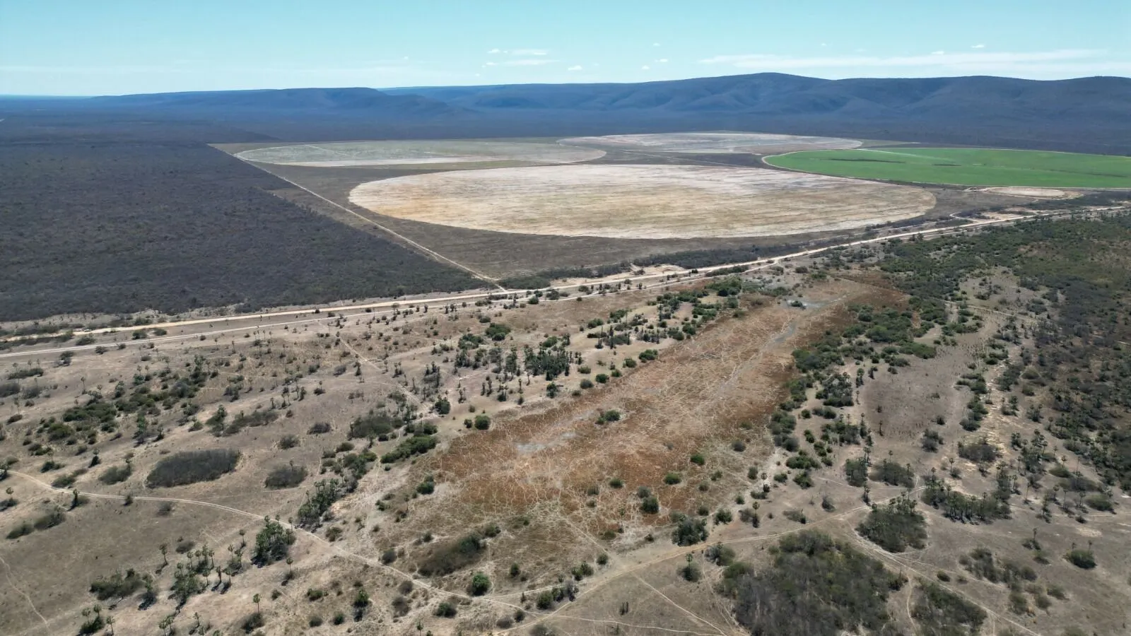 Farm for sale of 2,520 acres in Barra, BA, Brazil