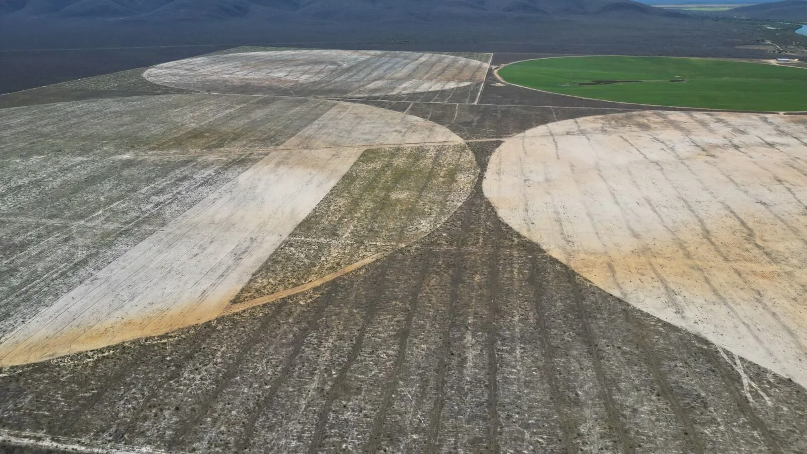 Farm for sale of 2,520 acres in Barra, BA, Brazil