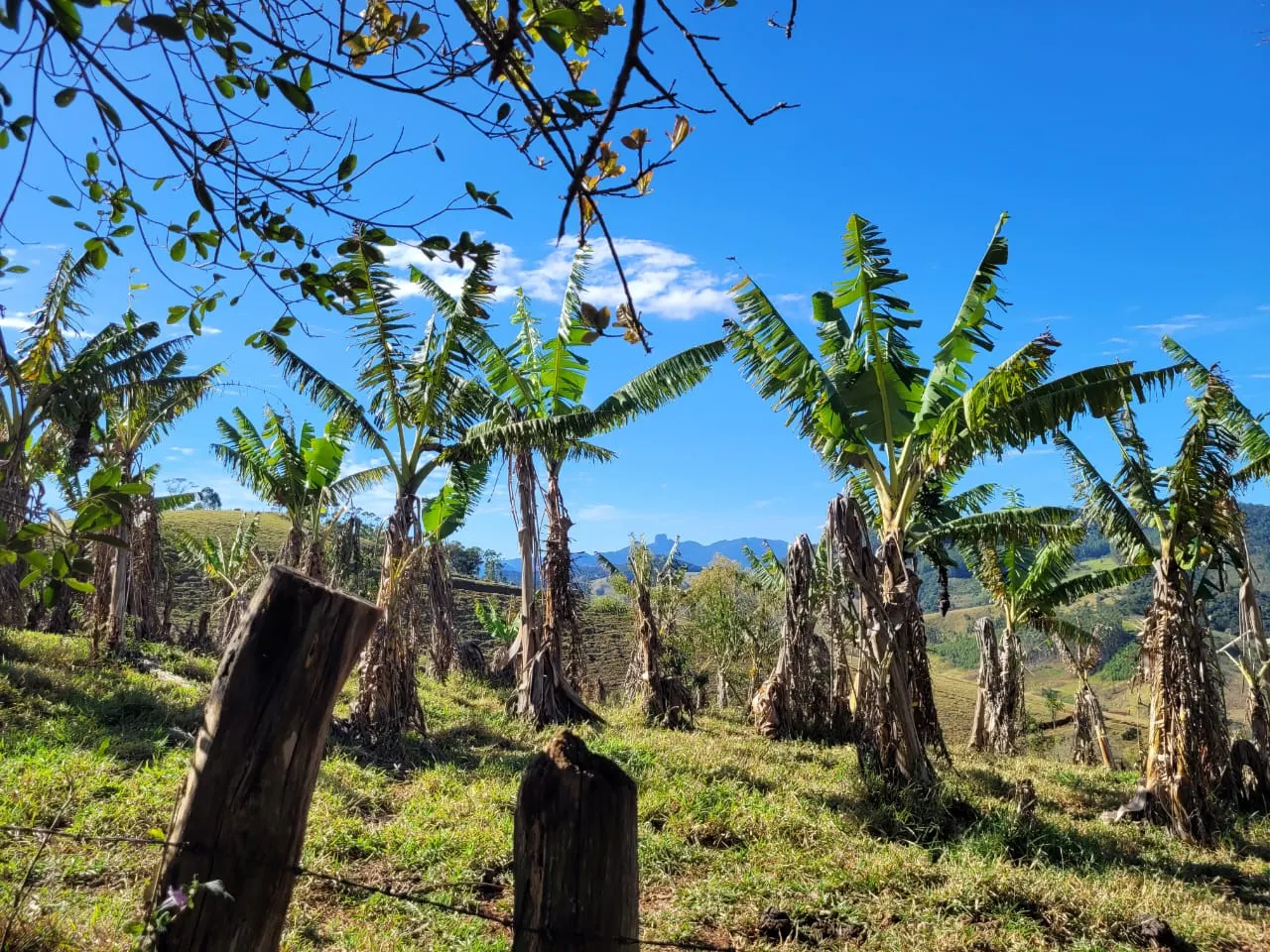 Terreno à venda de 2 ha em São José dos Campos, SP, Brasil