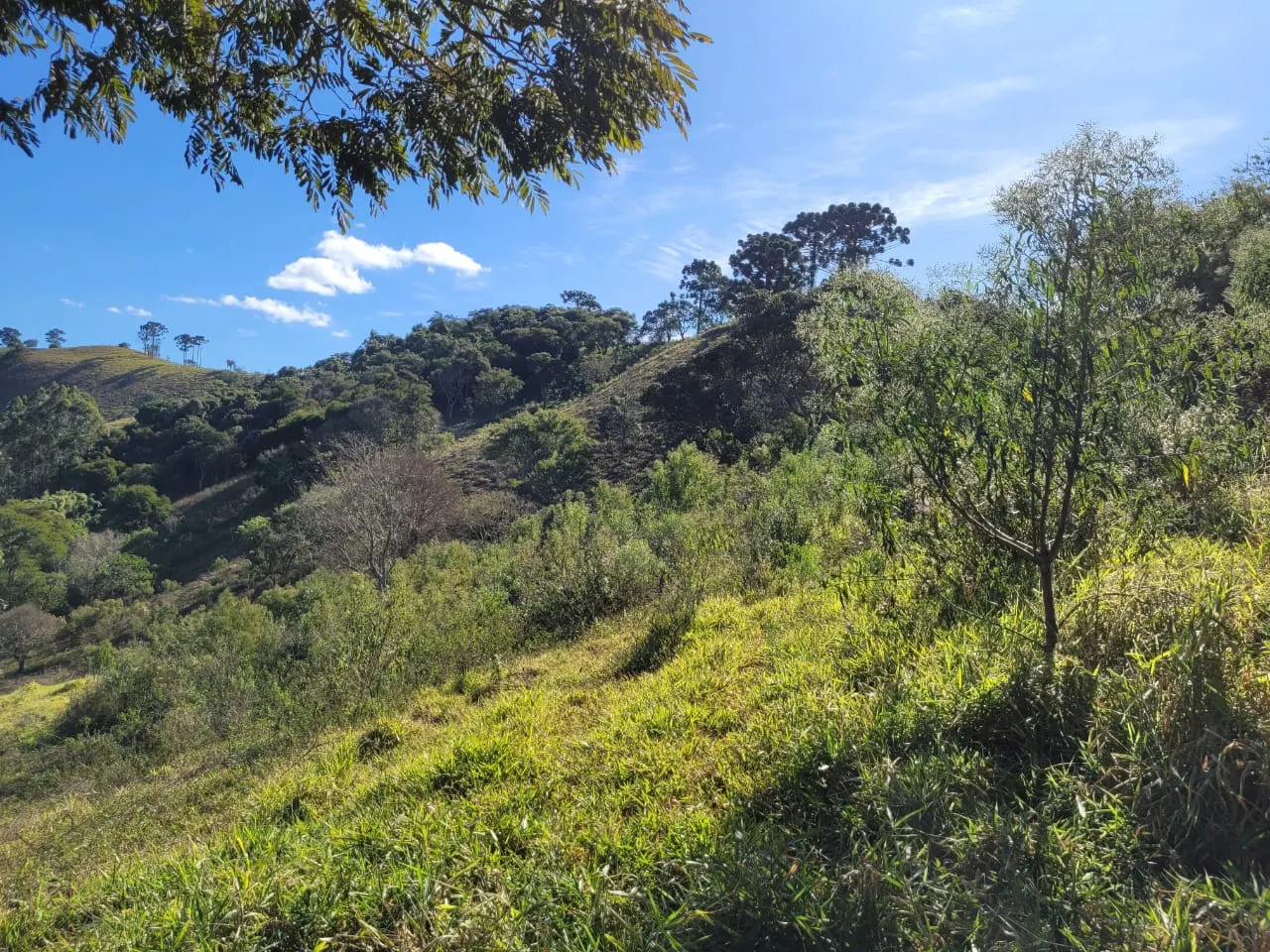 Terreno à venda de 2 ha em São José dos Campos, SP, Brasil