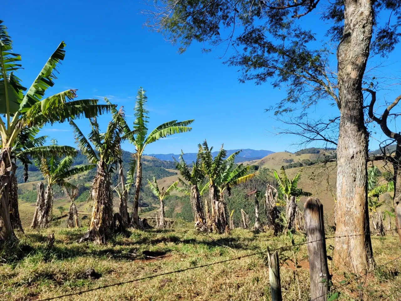 Terreno à venda de 2 ha em São José dos Campos, SP, Brasil