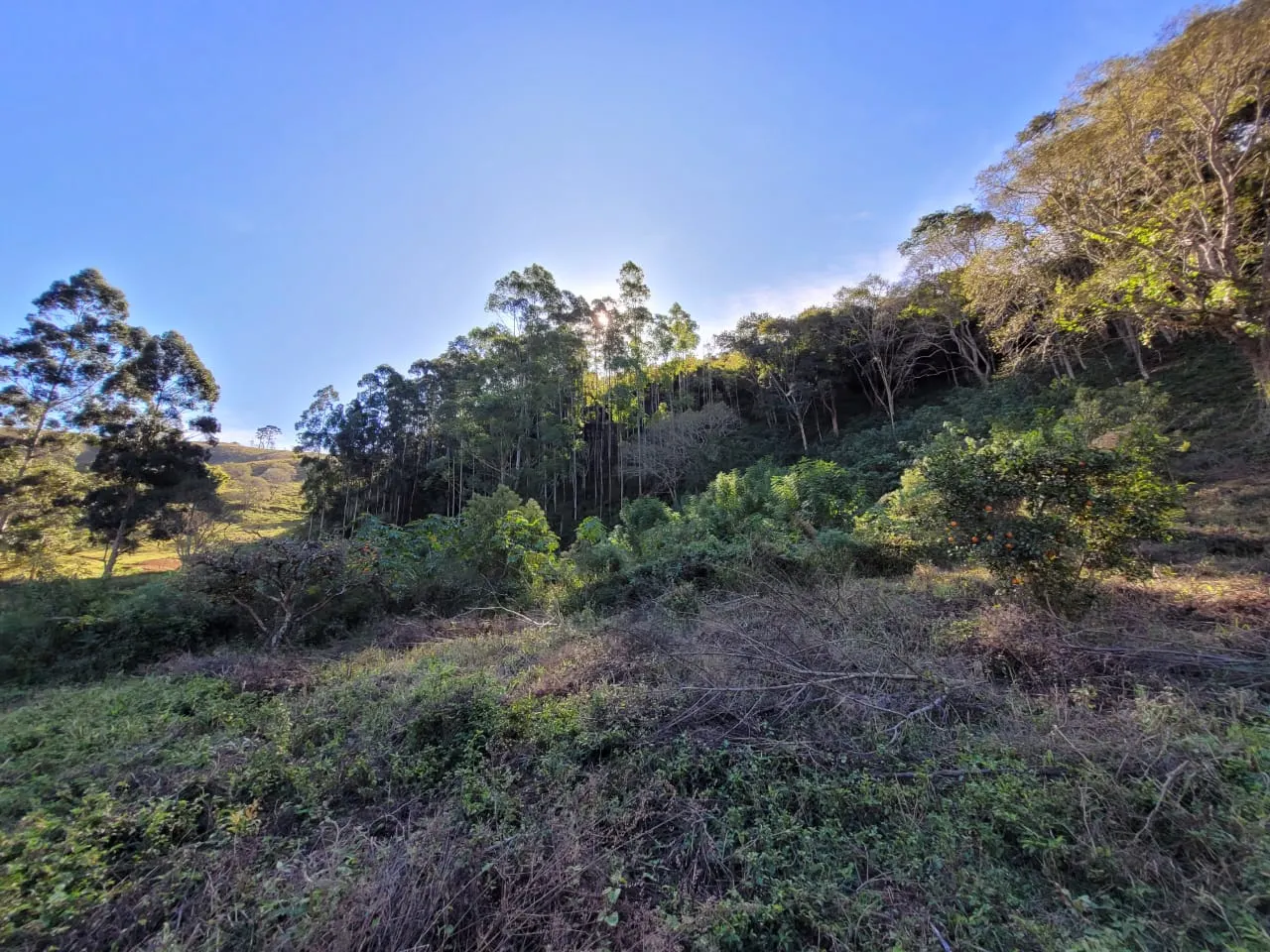 Terreno à venda de 2 ha em São José dos Campos, SP, Brasil