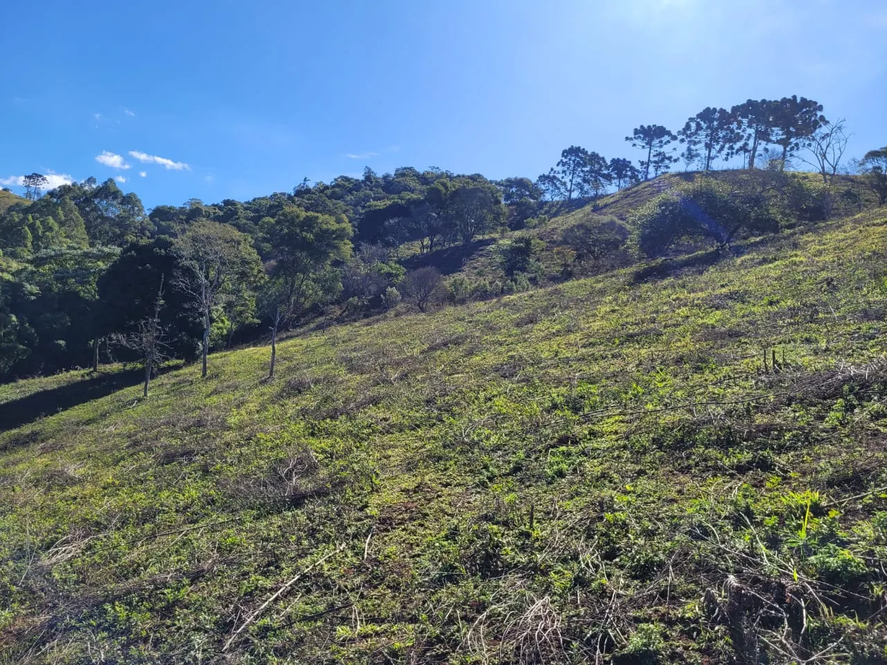 Terreno à venda de 2 ha em São José dos Campos, SP, Brasil