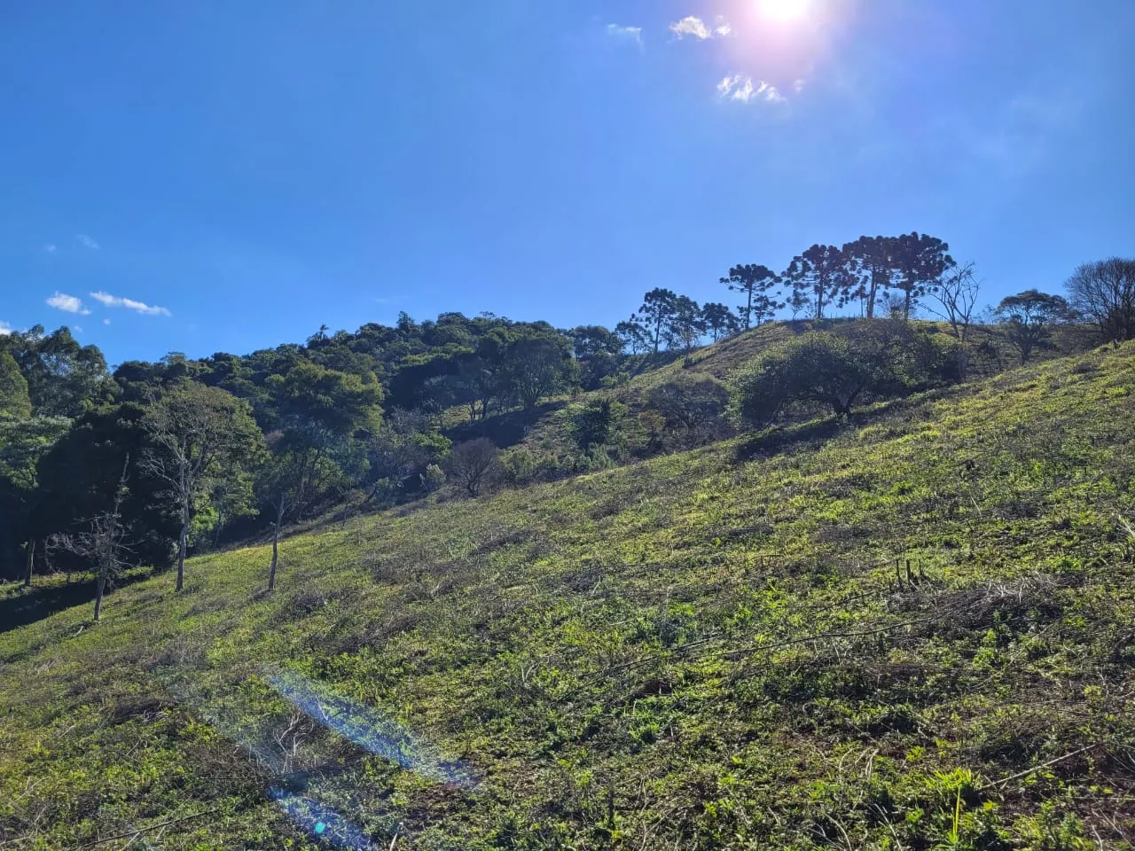 Terreno à venda de 2 ha em São José dos Campos, SP, Brasil