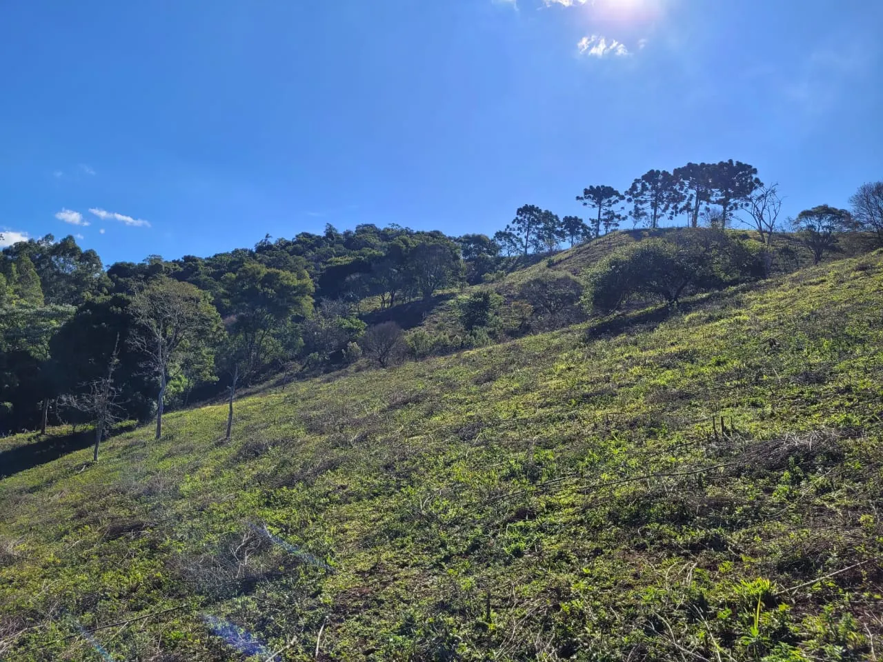 Terreno à venda de 2 ha em São José dos Campos, SP, Brasil