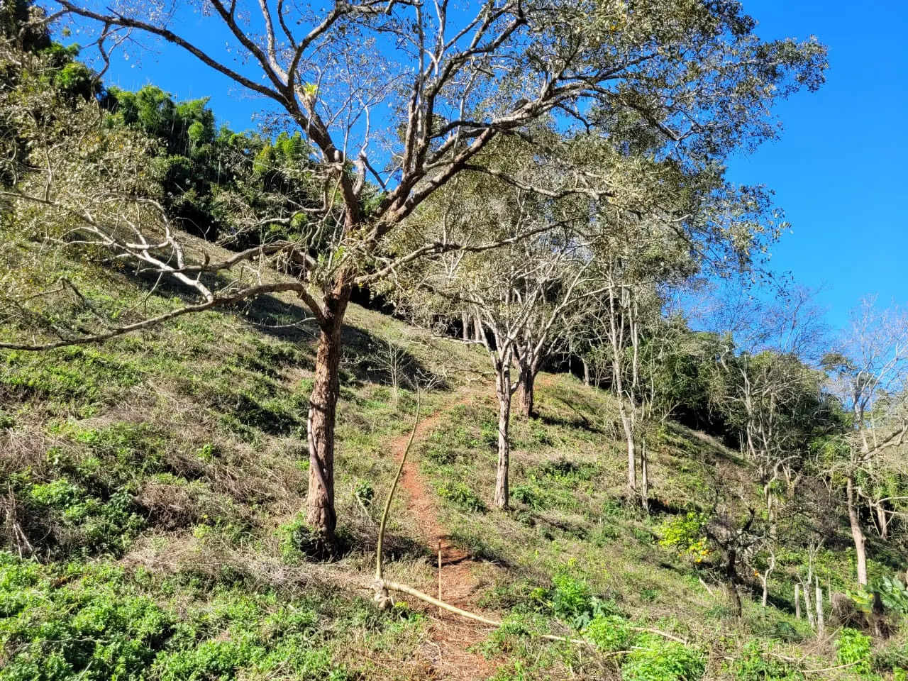 Terreno à venda de 2 ha em São José dos Campos, SP, Brasil