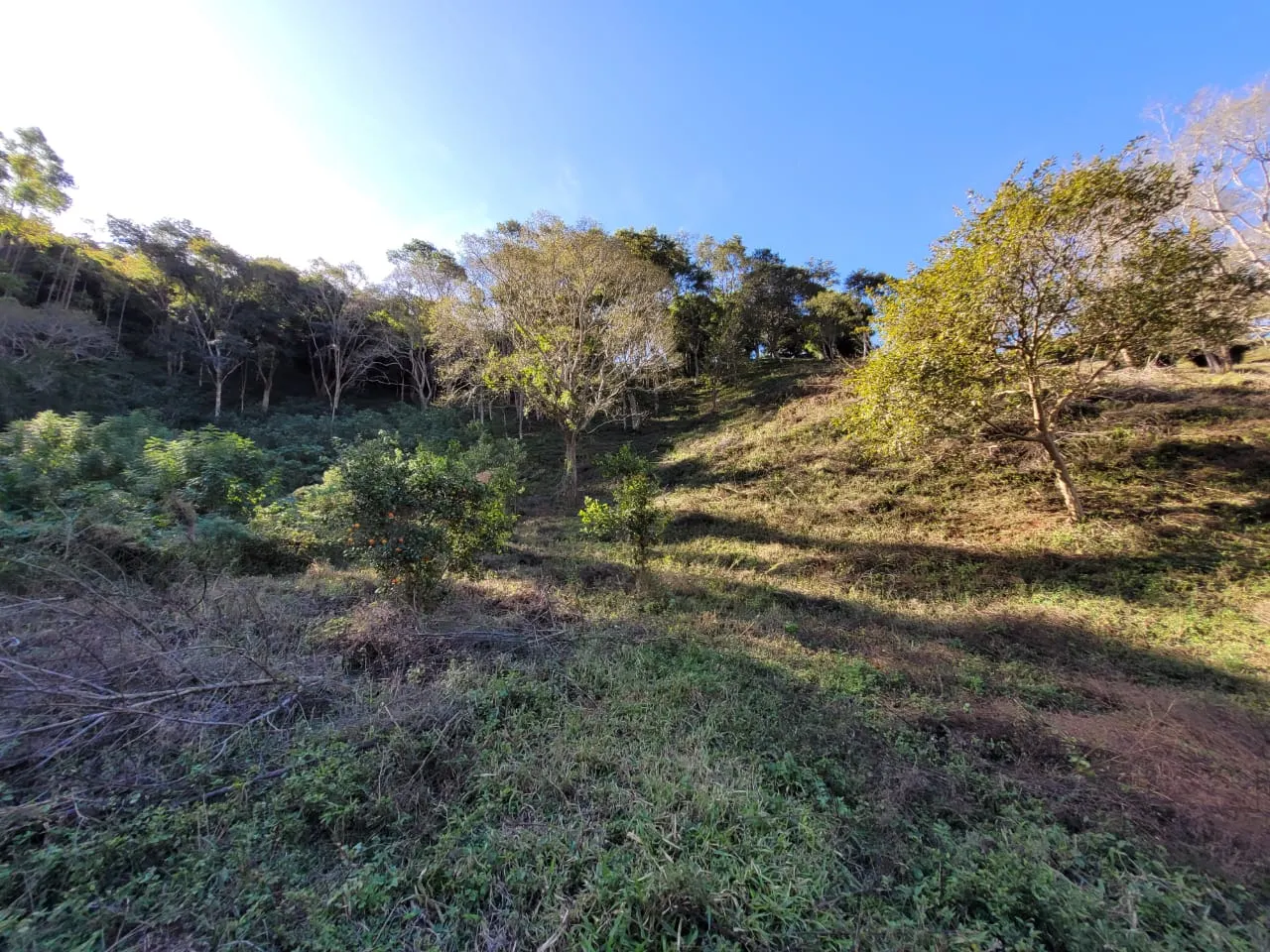 Terreno à venda de 2 ha em São José dos Campos, SP, Brasil
