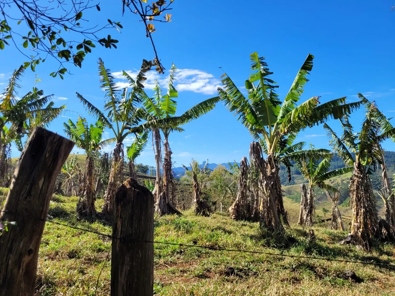 Terreno à venda de 2 ha em São José dos Campos, SP, Brasil
