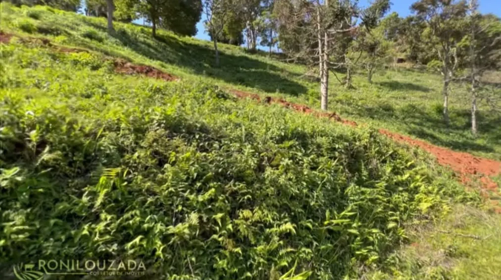 Terreno à venda de 2 ha em São José dos Campos, SP, Brasil