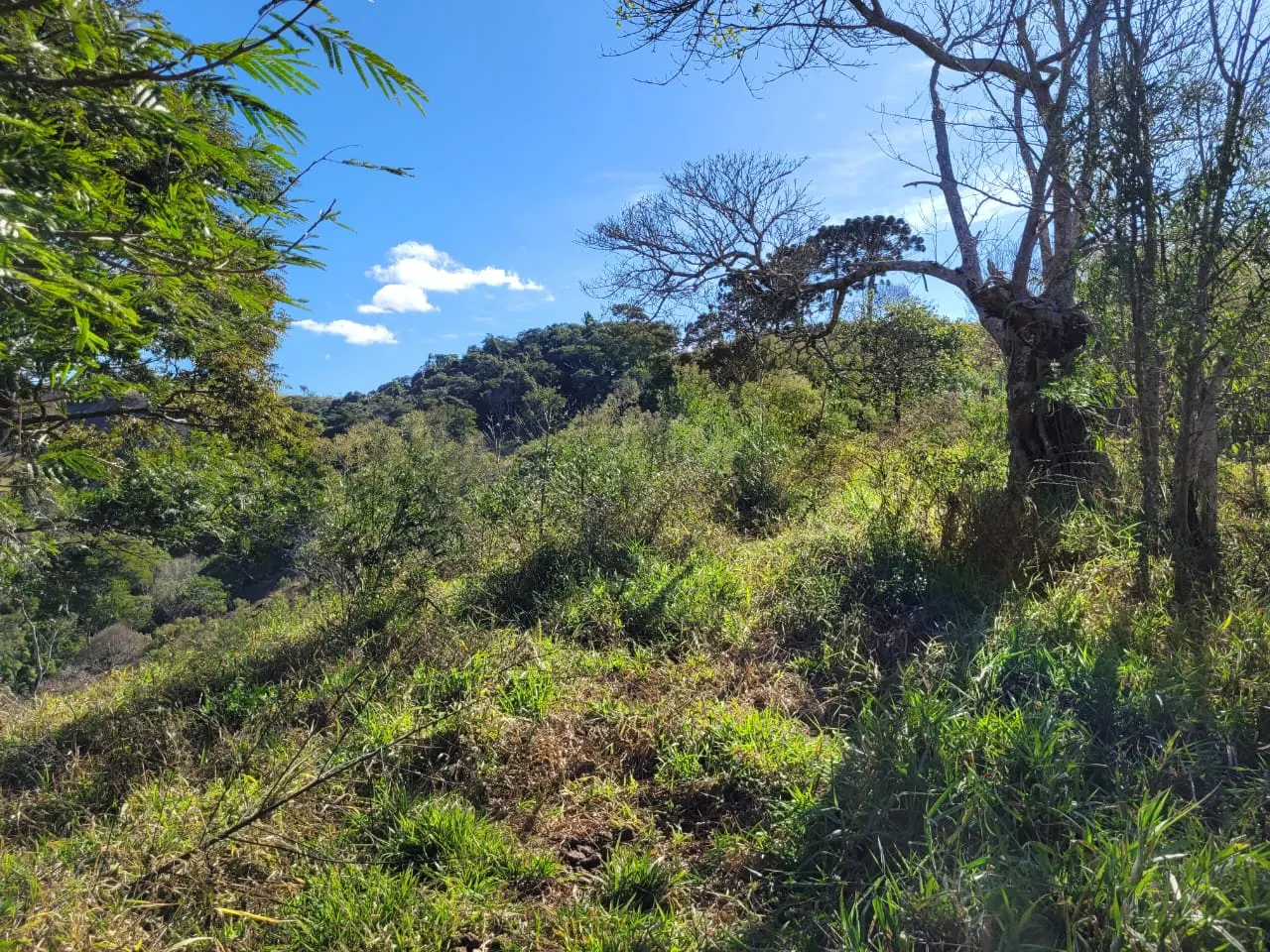 Terreno à venda de 2 ha em São José dos Campos, SP, Brasil