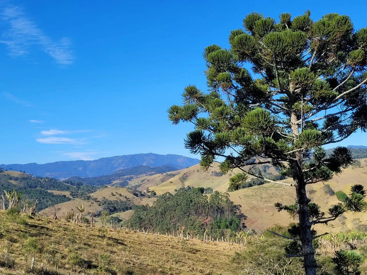 Terreno à venda de 2 ha em São José dos Campos, SP, Brasil