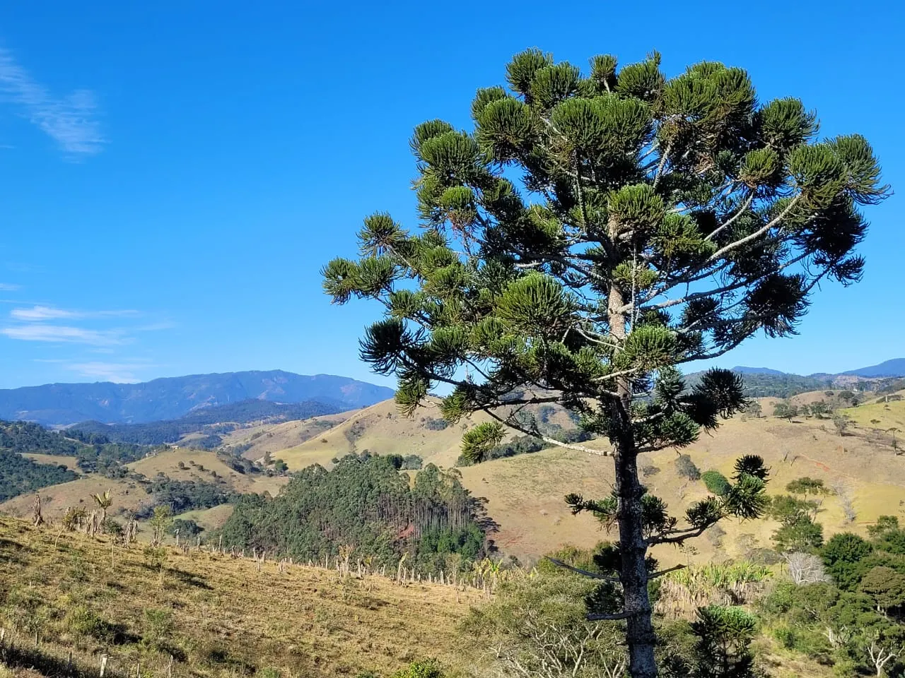 Terreno à venda de 2 ha em São José dos Campos, SP, Brasil