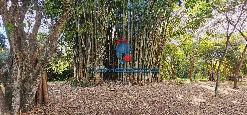 Small farm for sale of 21 acres in Campinas, SP, Brazil