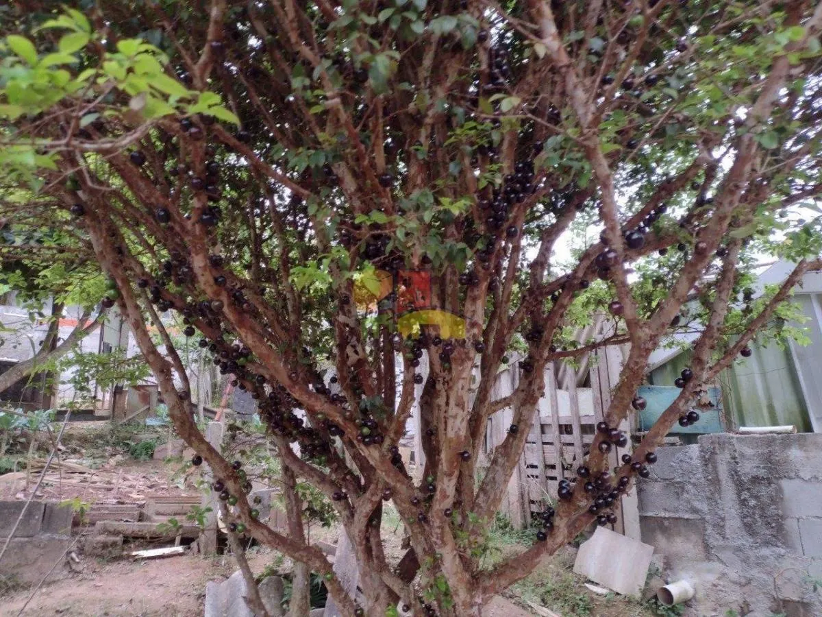 Chácara à venda de 1.000 m² em São Roque, SP, Brasil