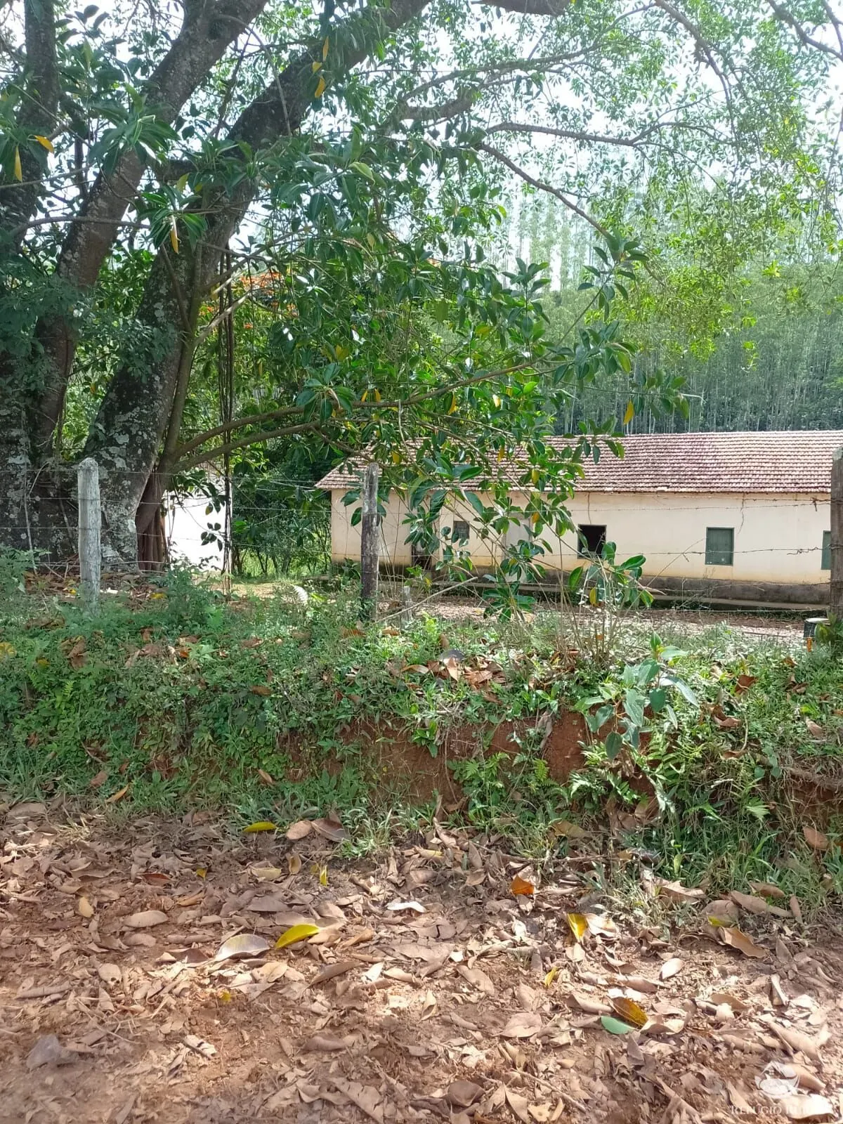Fazenda à venda de 331 ha em Igaratá, SP, Brasil