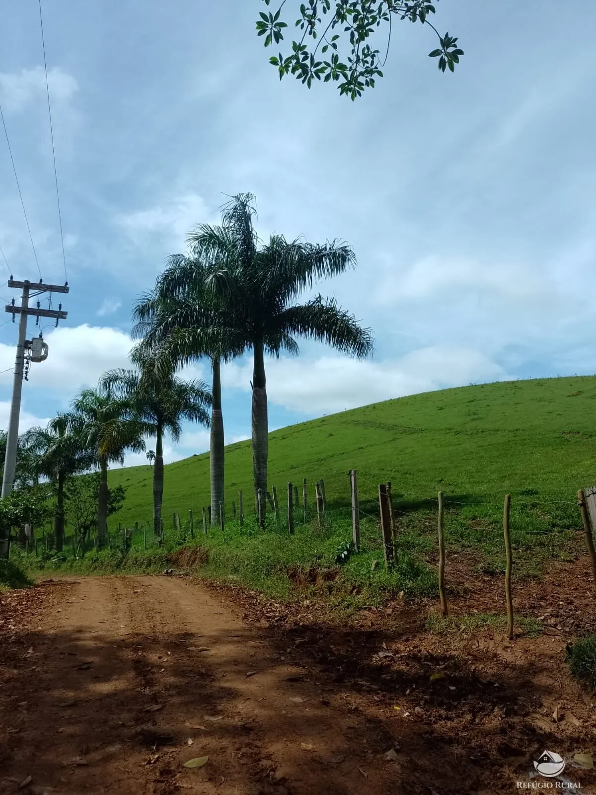 Fazenda à venda de 331 ha em Igaratá, SP, Brasil