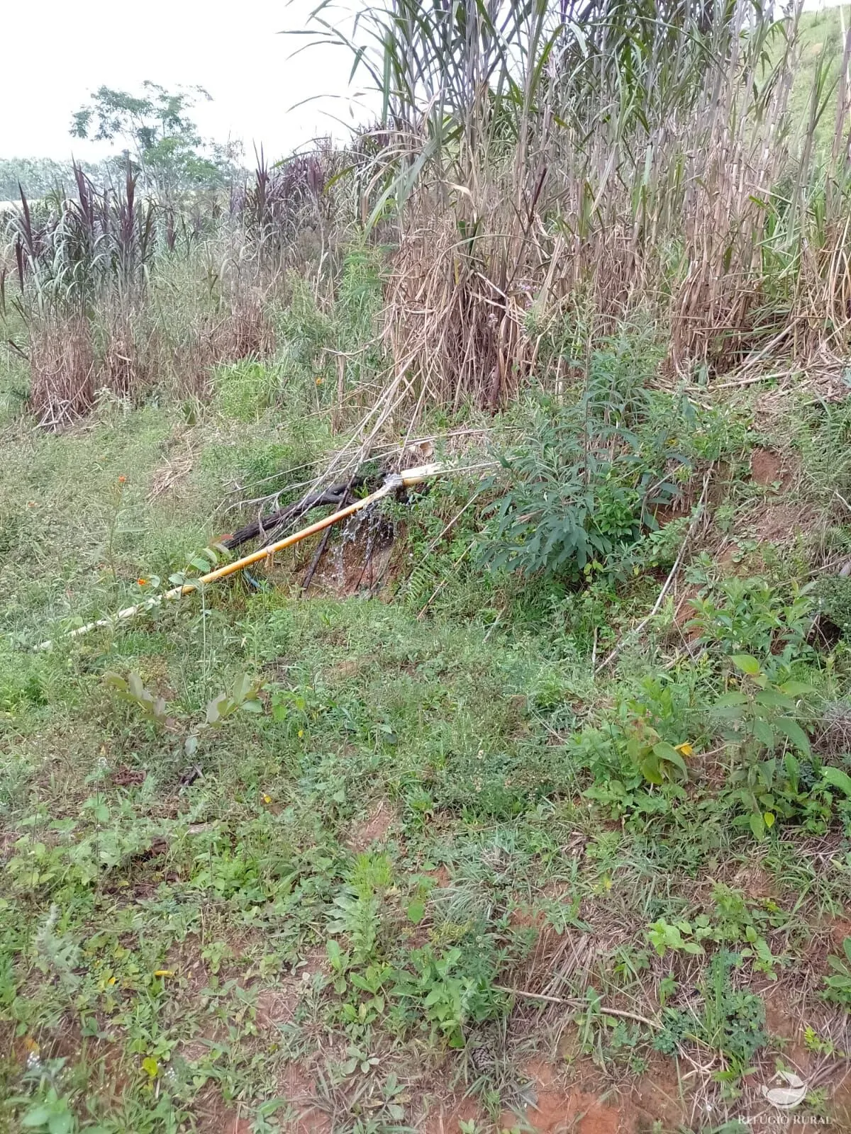 Fazenda à venda de 331 ha em Igaratá, SP, Brasil