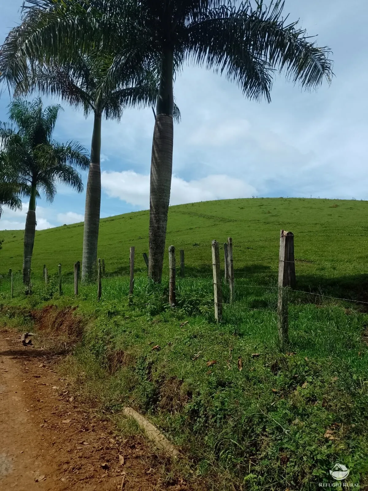 Fazenda à venda de 331 ha em Igaratá, SP, Brasil
