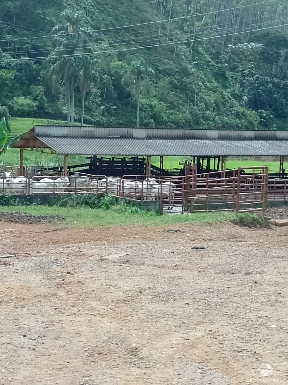 Fazenda à venda de 331 ha em Igaratá, SP, Brasil