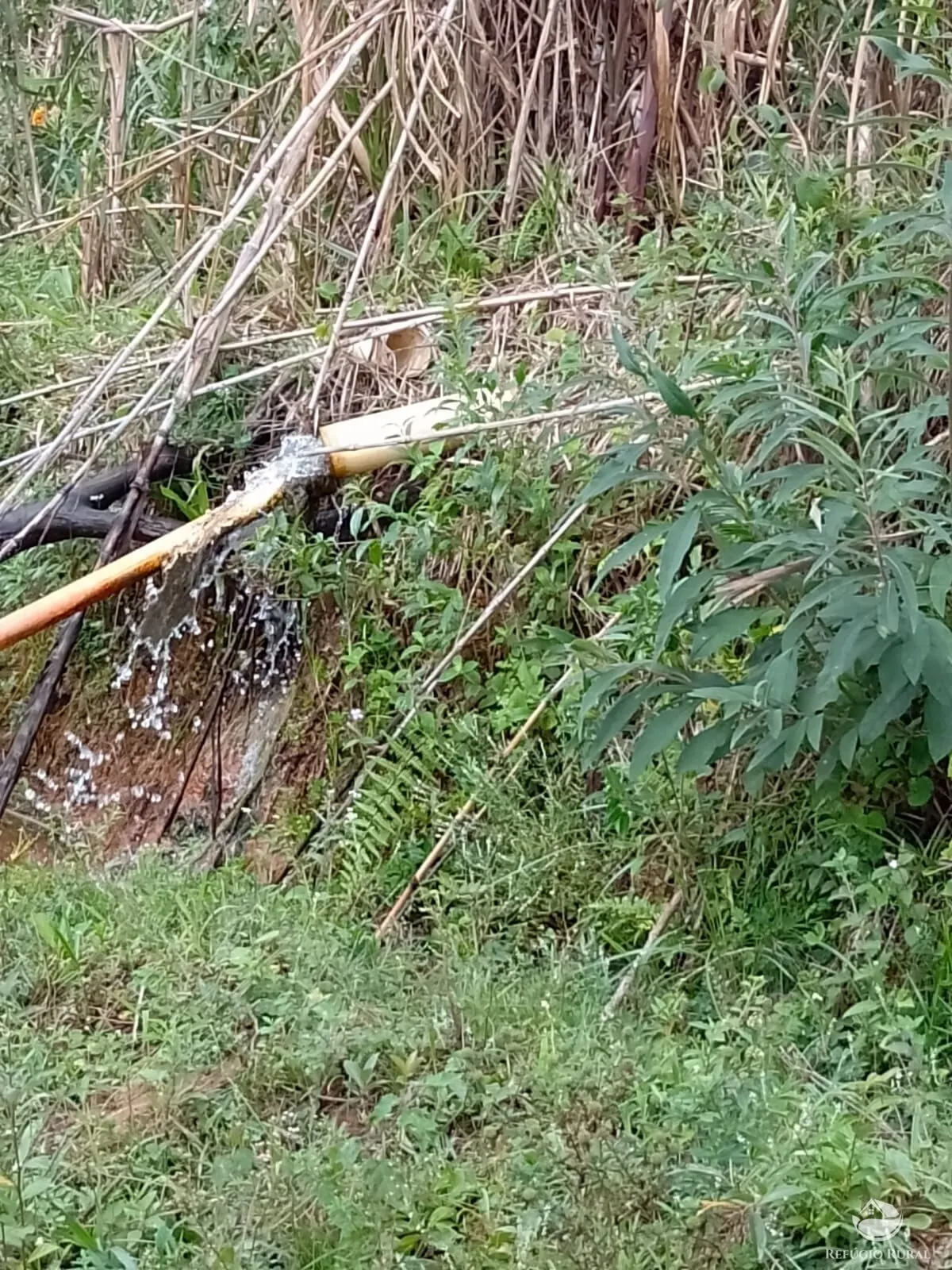 Fazenda à venda de 331 ha em Igaratá, SP, Brasil