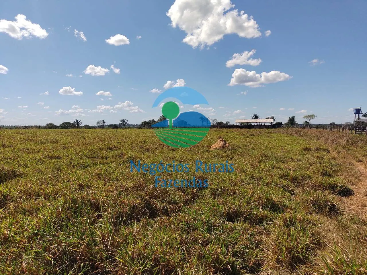 Farm for sale of 4,006 acres in Wanderlândia, TO, Brazil