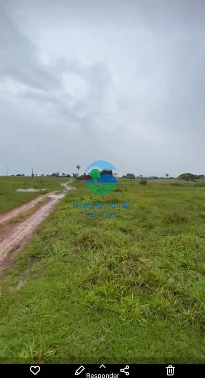 Farm for sale of 4,006 acres in Wanderlândia, TO, Brazil