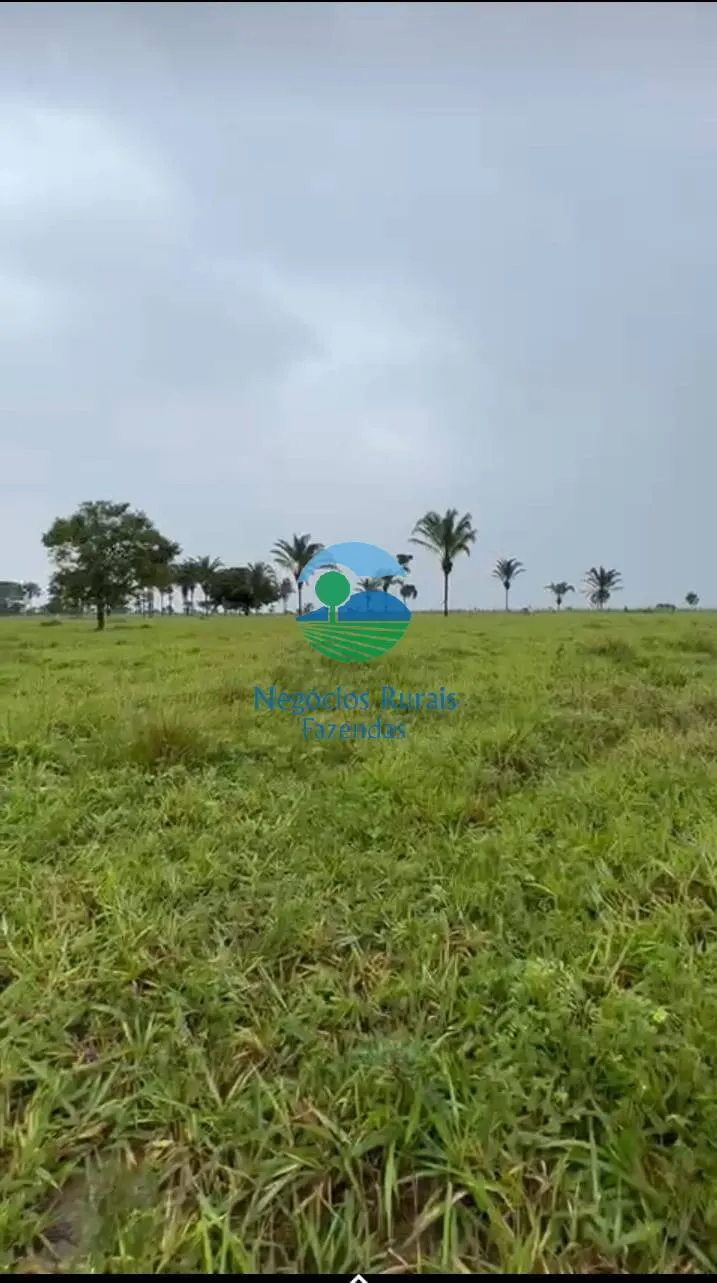 Farm for sale of 4,006 acres in Wanderlândia, TO, Brazil