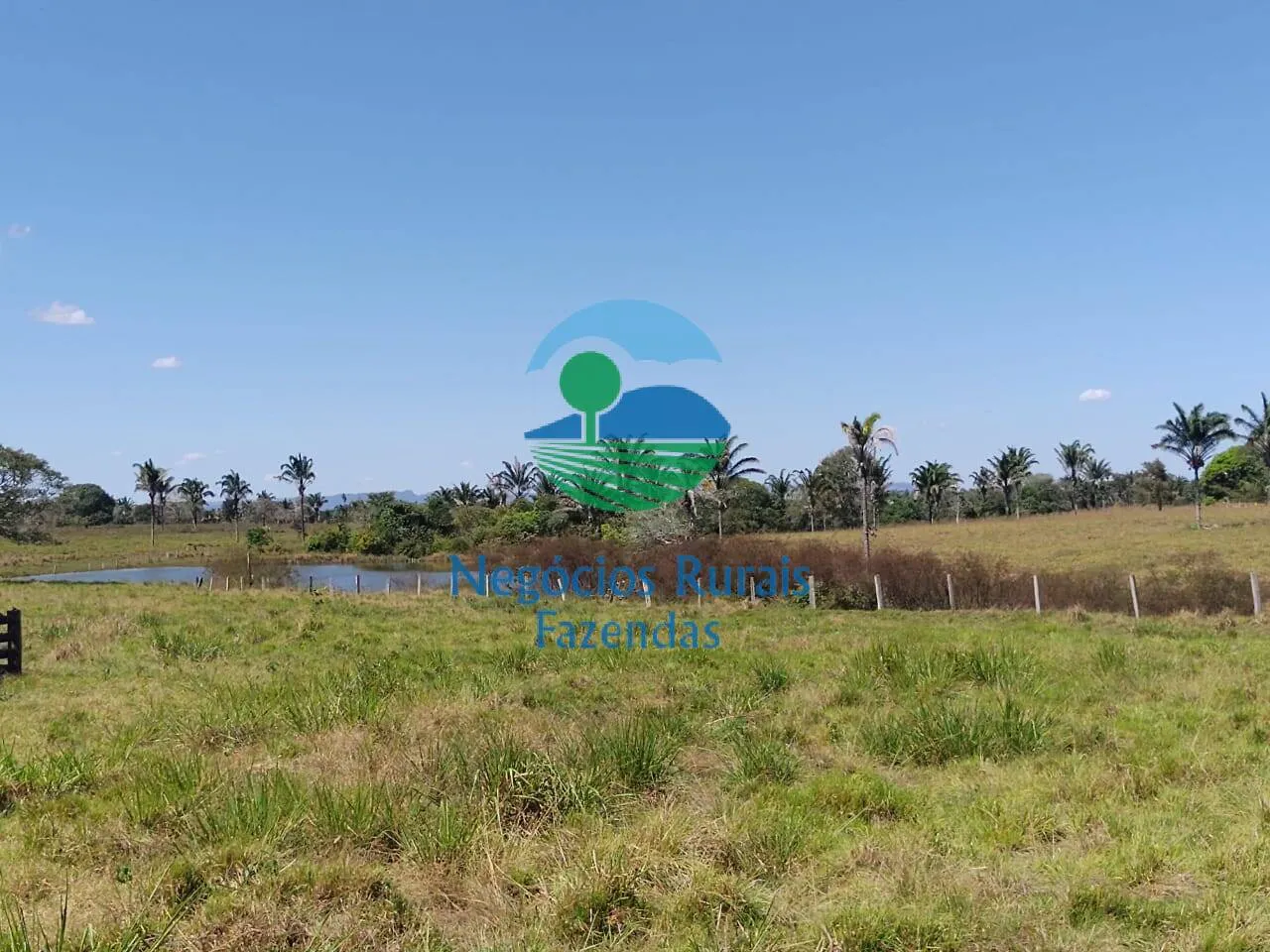 Farm for sale of 4,006 acres in Wanderlândia, TO, Brazil