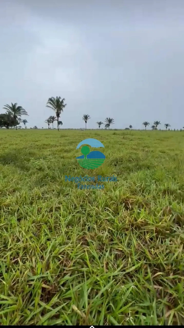 Farm for sale of 4,006 acres in Wanderlândia, TO, Brazil