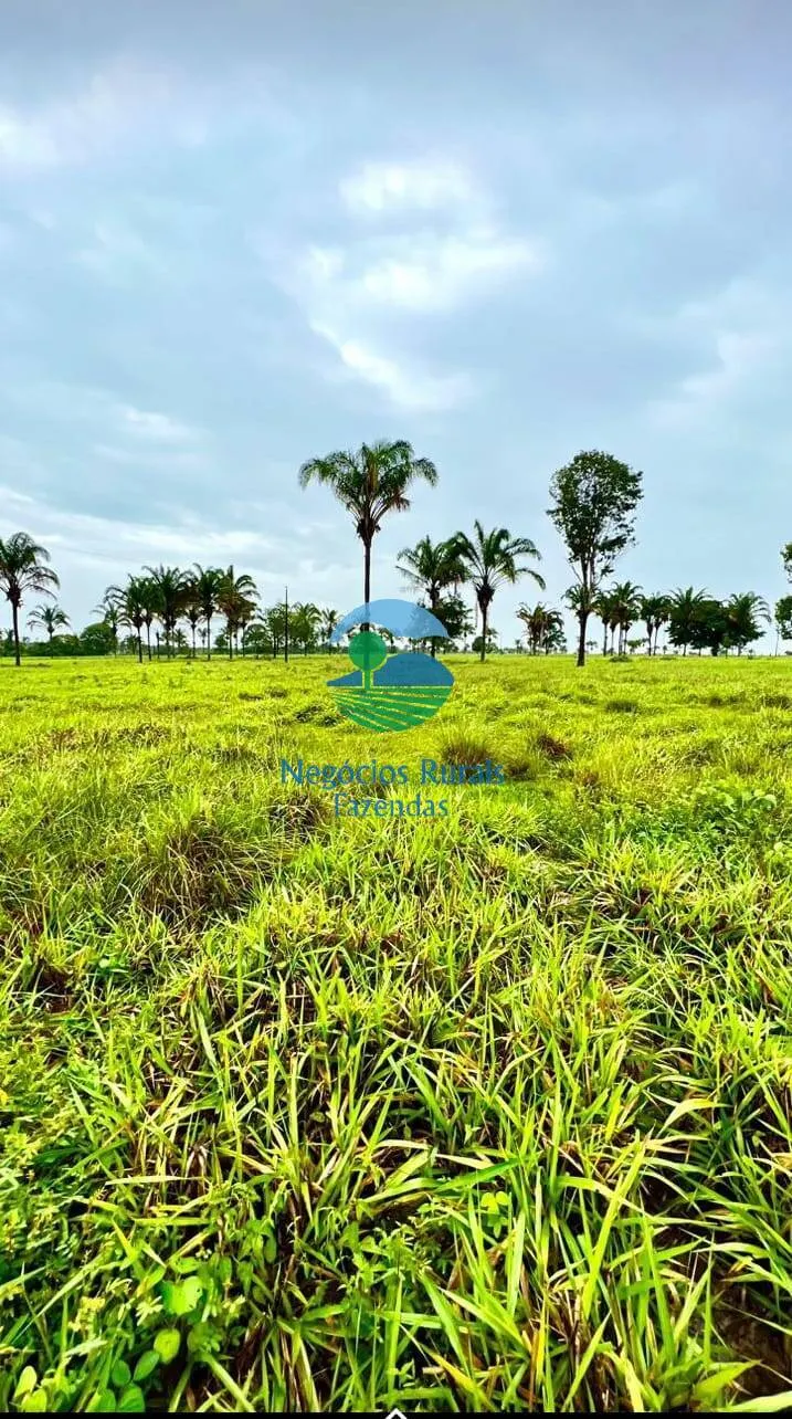 Farm for sale of 4,006 acres in Wanderlândia, TO, Brazil