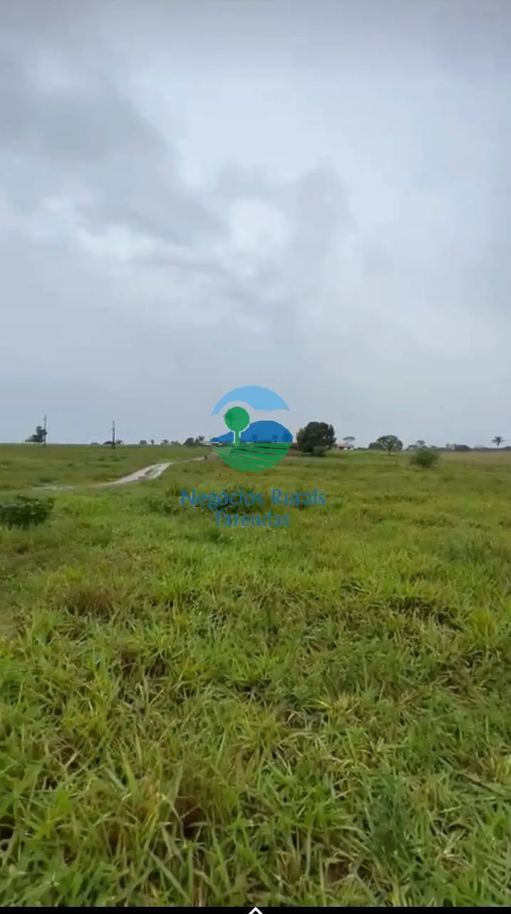 Farm for sale of 4,006 acres in Wanderlândia, TO, Brazil