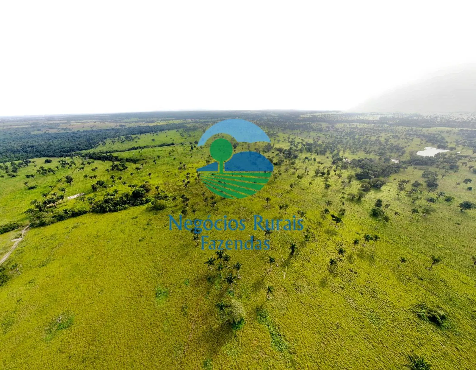 Farm for sale of 4,006 acres in Wanderlândia, TO, Brazil
