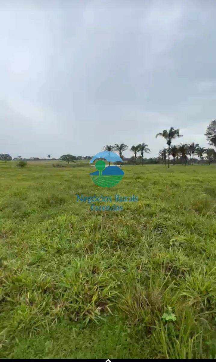 Farm for sale of 4,006 acres in Wanderlândia, TO, Brazil