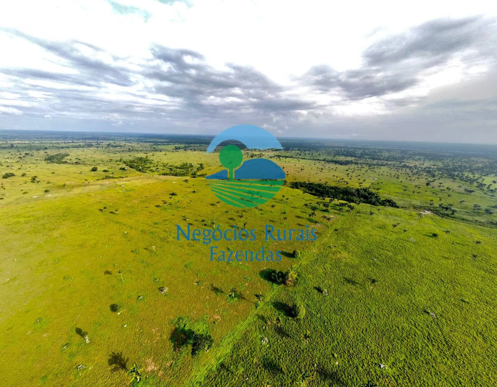 Farm for sale of 4,006 acres in Wanderlândia, TO, Brazil