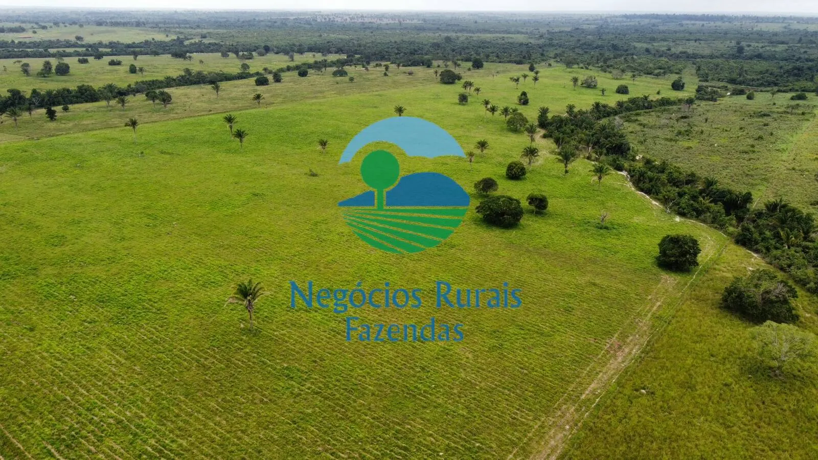 Farm for sale of 4,006 acres in Wanderlândia, TO, Brazil